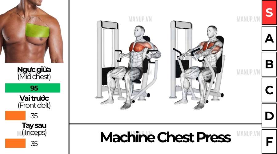 bài tập gym Machine Chest Press