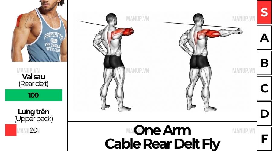 One Arm Cable Rear Delt Fly
