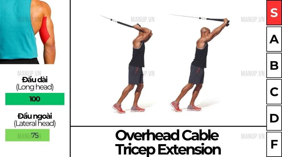Cách Tập Overhead Cable Tricep Extension Đúng Kỹ Thuật