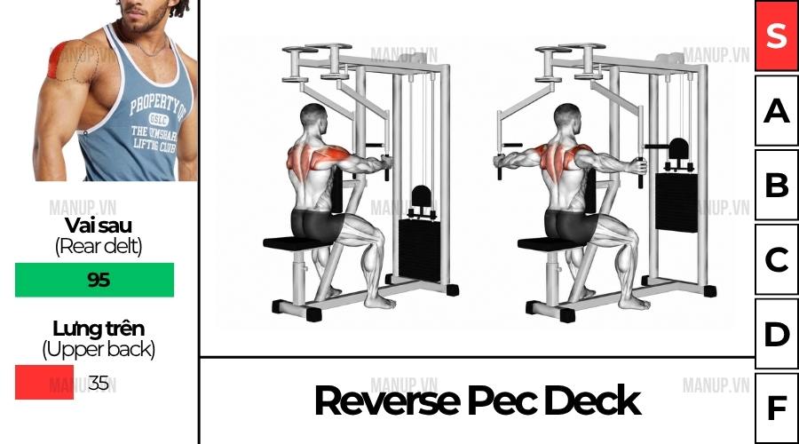 Cách Tập Reverse Pec Deck