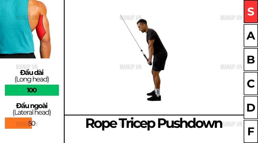 Cách Tập Rope Tricep Pushdown Đúng Kỹ Thuật