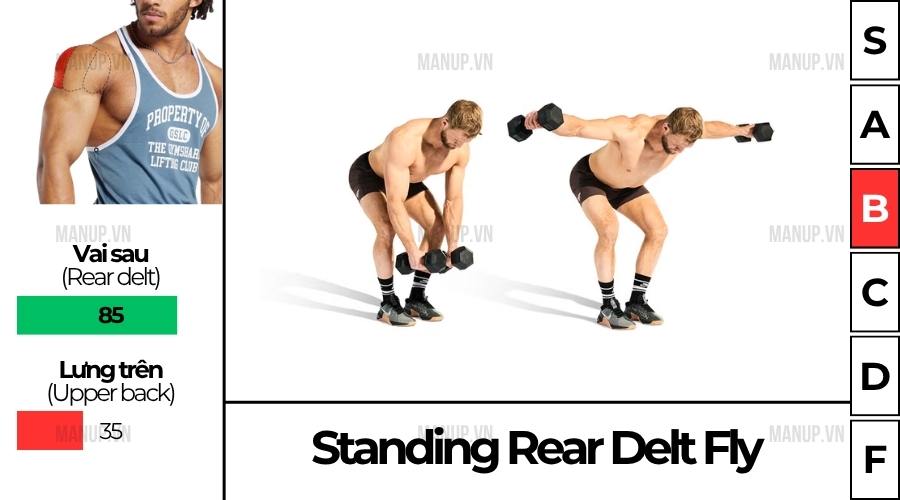 Dumbbell Rear Delt Fly