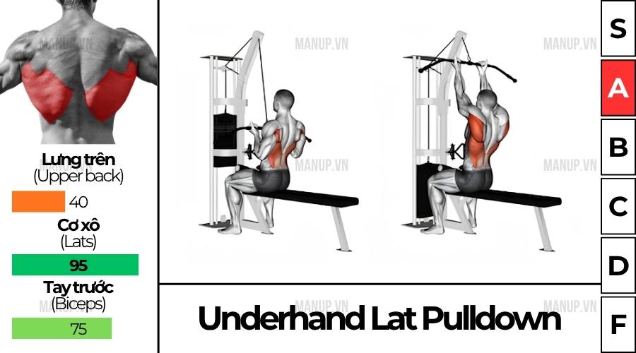 Underhand Lat Pulldown