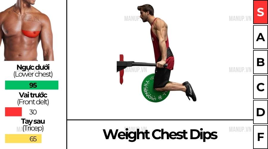 Cách tập Weight Chest Dips