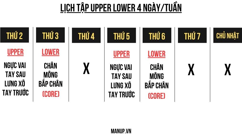 lịch tập core