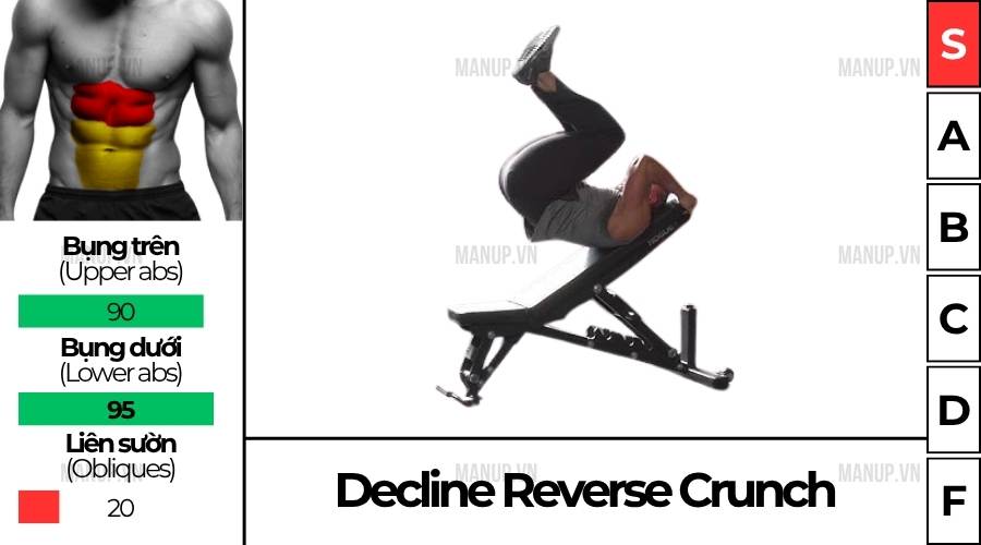 cách tập Decline Reverse Crunch