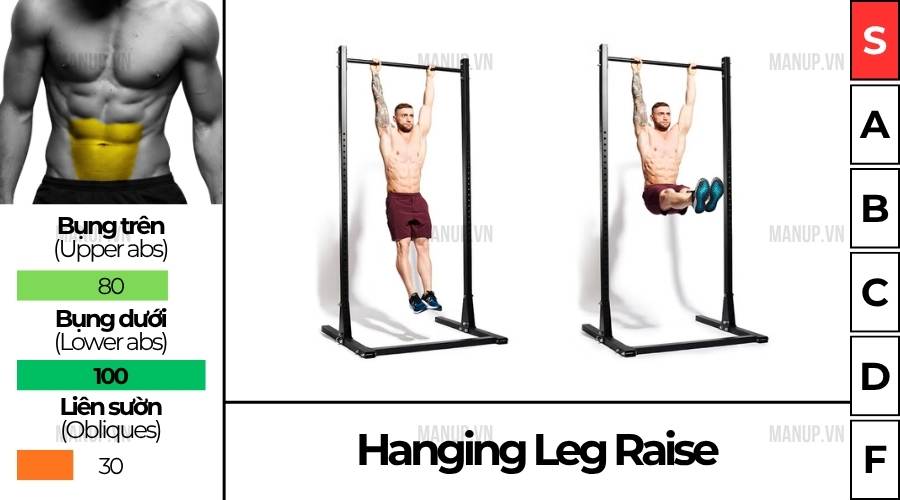 Hanging Leg Raise
