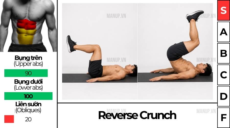 Cách tập Reverse Crunch